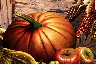 Thanksgiving Live Wallpapers   Android Apps On Google Play