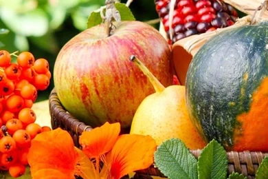 Thanksgiving Live Wallpapers   Android Apps On Google Play