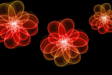 Animated Gif Images Of Flowers