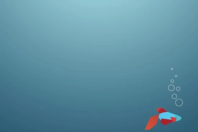 Windows 8 Wallpapers