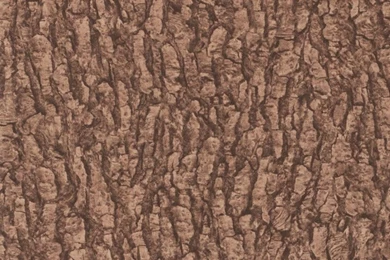 Realistic Tree Bark Design, Soft Feel Vinyl Wallpapers (Paste The ...