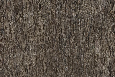 Tileable Tree Bark Texture By Ftourini On DeviantArt