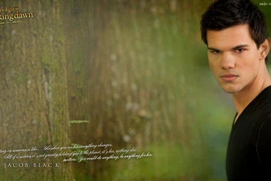 Breaking Dawn Part 2 Wallpapers   Breaking Dawn Part 2 Wallpapers ...