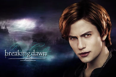 Breaking Dawn Part 2 Wallpapers   Breaking Dawn Part 2 Fan Art ...