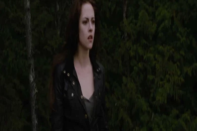 BD 2 Wallpapers   Breaking Dawn Part 2 Photo (32883625)   Fanpop