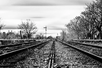 Black And White Wallpapers Hd Collection (33+)