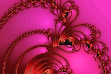 Pink Wallpapers   Pink (Color) Wallpapers (10047323)   Fanpop