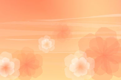 Colorful Wallpapers Pattern 3751   Wallpapers Patterns   Flowers