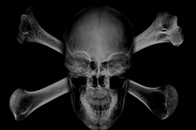 Cool Skull And Crossbones Wallpapers