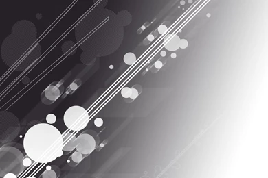 Black Grey White Vector By Fa uZricator On DeviantArt