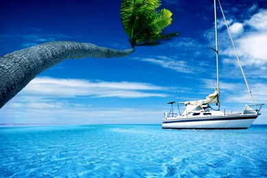 2560x1440 Wallpapers High Definition AL3 » High Definition Wallpapers