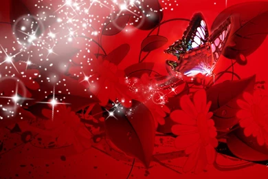 Red Butterfly Wallpapers