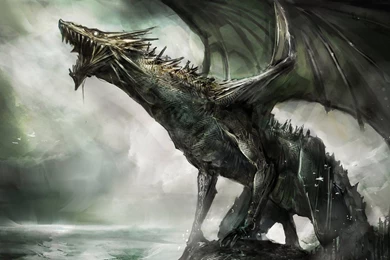 Evil Black Dragon Wallpapers Free Evil Hd   (