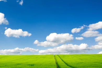 Download High Quality 2560 X 1024 Summer Dual Monitor Wallpapers ...