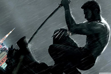 The Wolverine (2013) HD Desktop Wallpapers : Widescreen : High ...