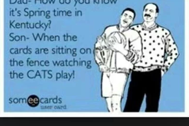 Kentucky Wildcats   Gr8ness On Pinterest