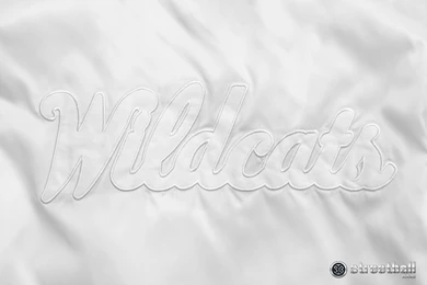 Kentucky Wildcats National Championship Wallpapers   Streetball