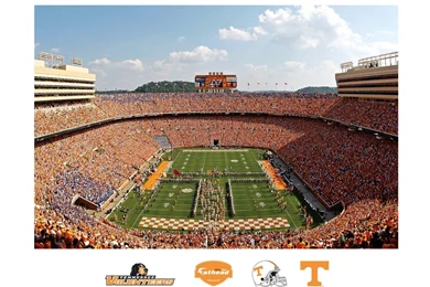 Amazon.com : NCAA Tennessee Volunteers Neyland Stadium Mural Wall ...