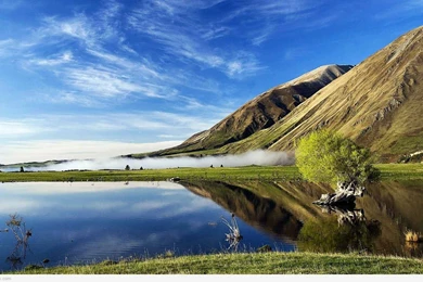 Hd Nature Wallpapers For Desktop