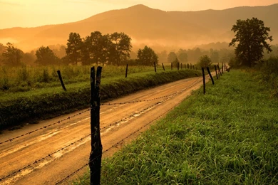 Tennessee Vols Neyland Stadium Wallpaper.