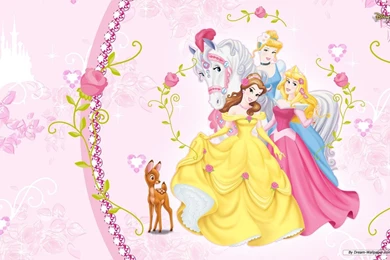 Disney Princess Wallpapers Collection (48+)