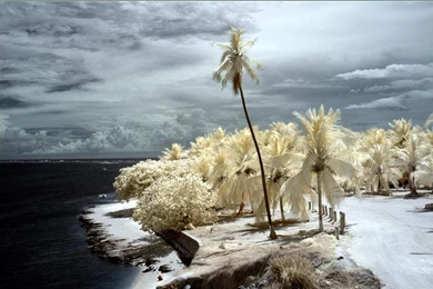 FANTASY BEACH WALLPAPER   (