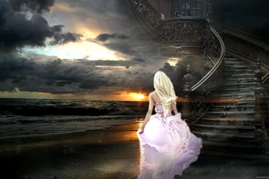 Fine Art Oil Paintings