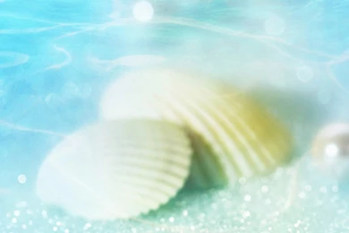 Beach iPad Wallpapers