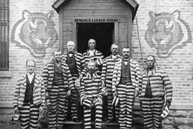 Marsden's Blog: Cincinnati Bengals Wallpapers