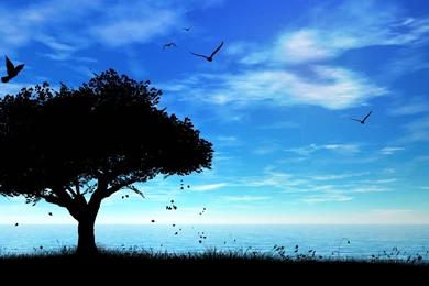 High Quality Wallpapers HD Wallpapers Desktop Wallpapers ...