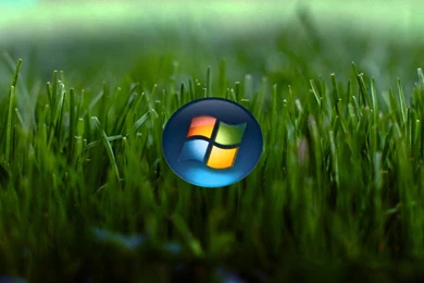 Windows 7 Grass Wallpapers By Steffono6 On DeviantArt