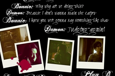 Damon And Bonnie Quotes: Season Two 2x06 Plan B   Damon & Bonnie ...