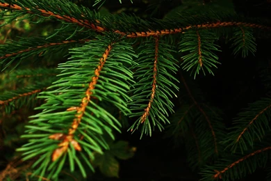 Atmosphere Wallpapers For PC