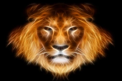 Desktop Wallpapers · Gallery · Windows 7 · Large Leo