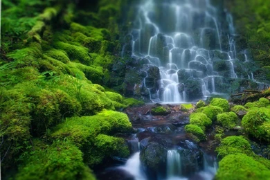 Artistic Beautiful Htc Sense Hd Wallpapers