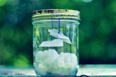 Beautiful HD Wallpapers 49442   Still Life Photo   Still Life