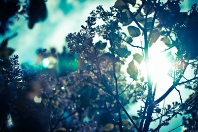 Galaxy Hipster Wallpapers For Iphone