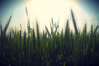 Hipster Computer Backgrounds   Wallpapers Cave