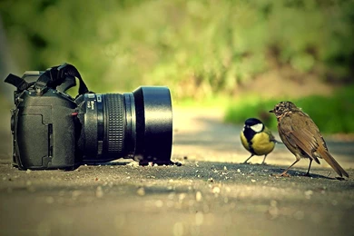 Creative Photography HD Wallpapers   Hindi Sad, Love And ...