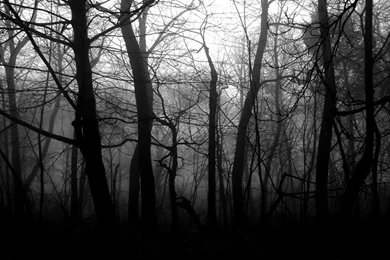 Love Black And White Pic Semi Related Despite Liking Wallpapers ...