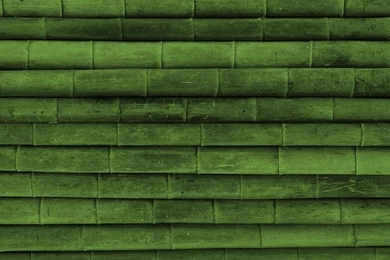 12 Model Hd Wallpapers For Mobile