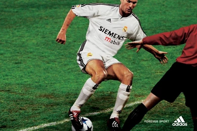 Zinedine Zidane Wallpapers, Victorious Zinedine Zidane HD Wallpapers