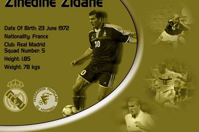 Zinedine Zidane   Zinedine Zidane Wallpapers (3226335)   Fanpop