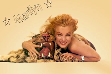 Marilyn   Marilyn Monroe Wallpapers (5450765)   Fanpop