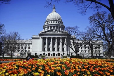 University Of Wisconsin Madison 4K Wallpapers HD For Desktop