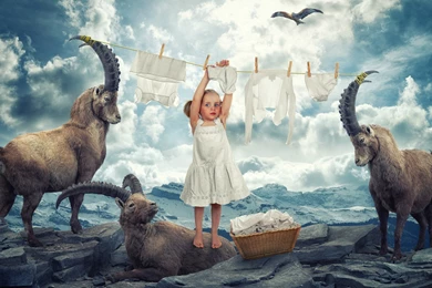 Girl Do Laundry Wallpapers And Images Wallpapers, Pictures, Photos