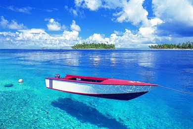 Bora Bora Pictures Collection (47+)