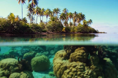 Amazing Bora Bora Wallpapers