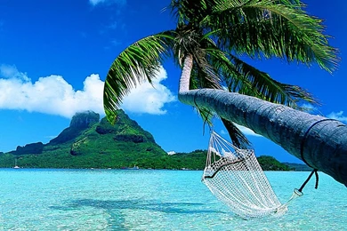 Bora Bora Pictures Collection (47+)