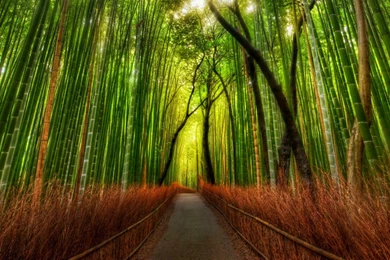 Dual Monitor Nature Wallpapers « Desktop Hd Backgrounds